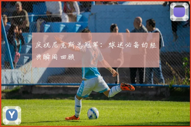 庆祝尼克斯总冠军:球迷必备的经典瞬间回顾
