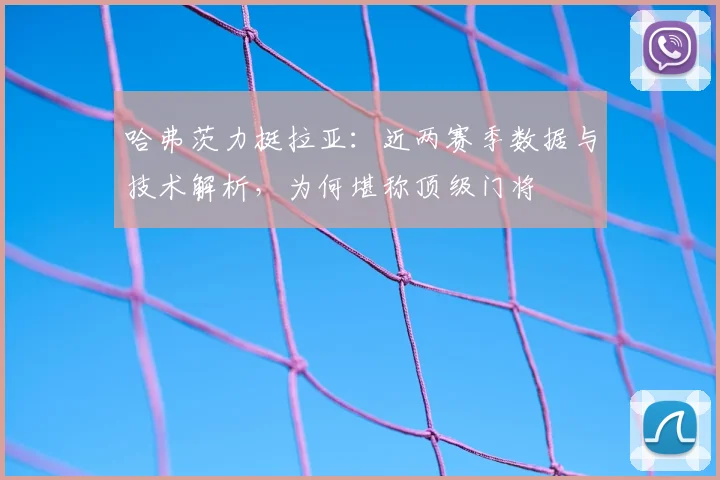 哈弗茨力挺拉亚:近两赛季数据与技术解析,为何堪称顶级门将